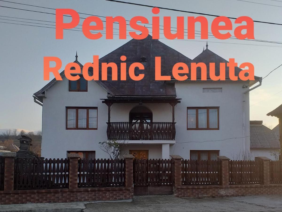 Pensiunea Rednic Lenuta Giulesti Εξωτερικό φωτογραφία