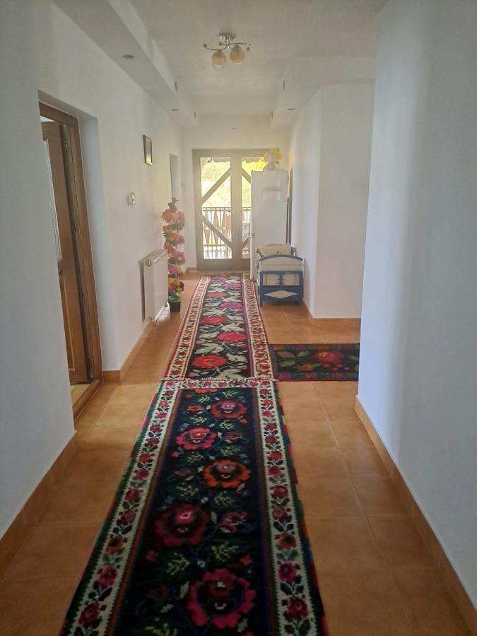 Pensiunea Rednic Lenuta Giulesti Εξωτερικό φωτογραφία